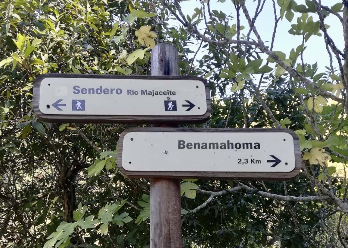 46a9e2db-12a0-44b6-b752-2f35098280e6