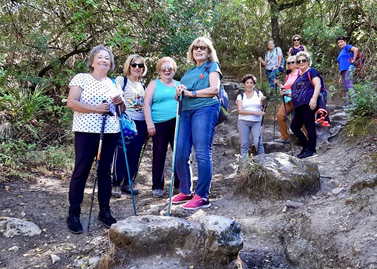 5b1d7e55-7f01-4f56-9091-4747b49cfbca