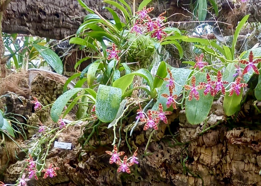 e687e03f-da5f-4fea-8f83-b88b71cab952