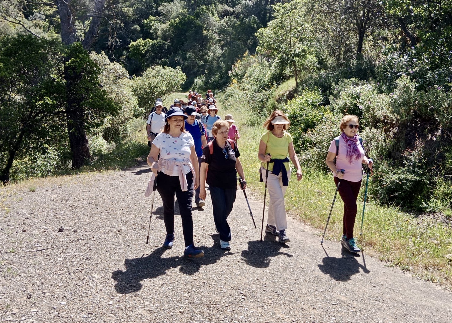 WhatsApp Image 2024-05-03 at 21.02.41 (2)