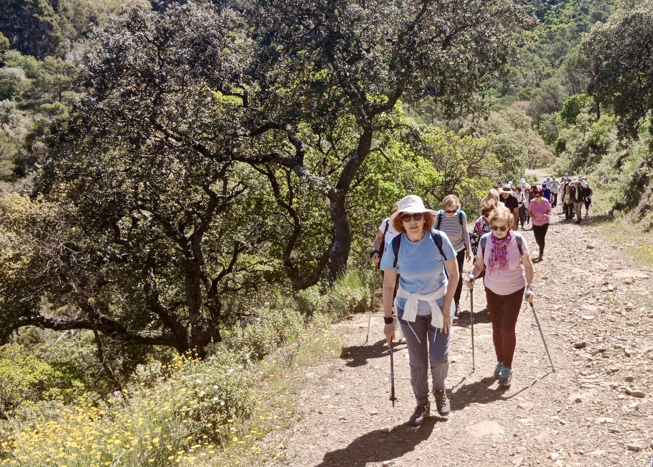 WhatsApp Image 2024-05-03 at 21.02.41