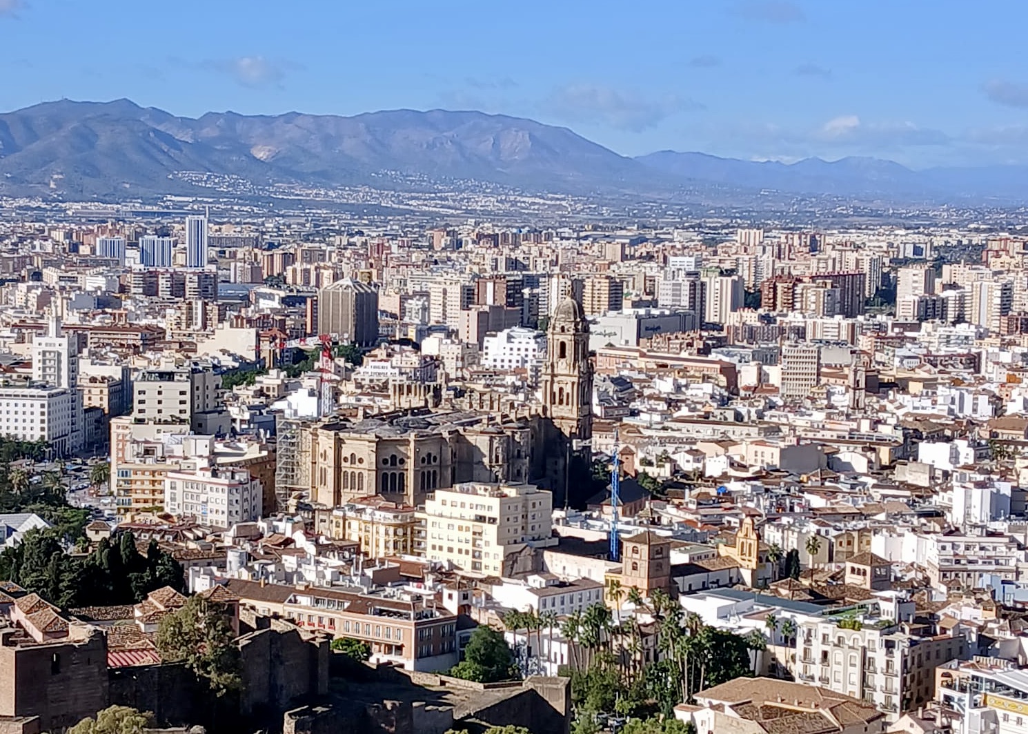 WhatsApp Image 2024-10-17 at 15.24.29 (2)