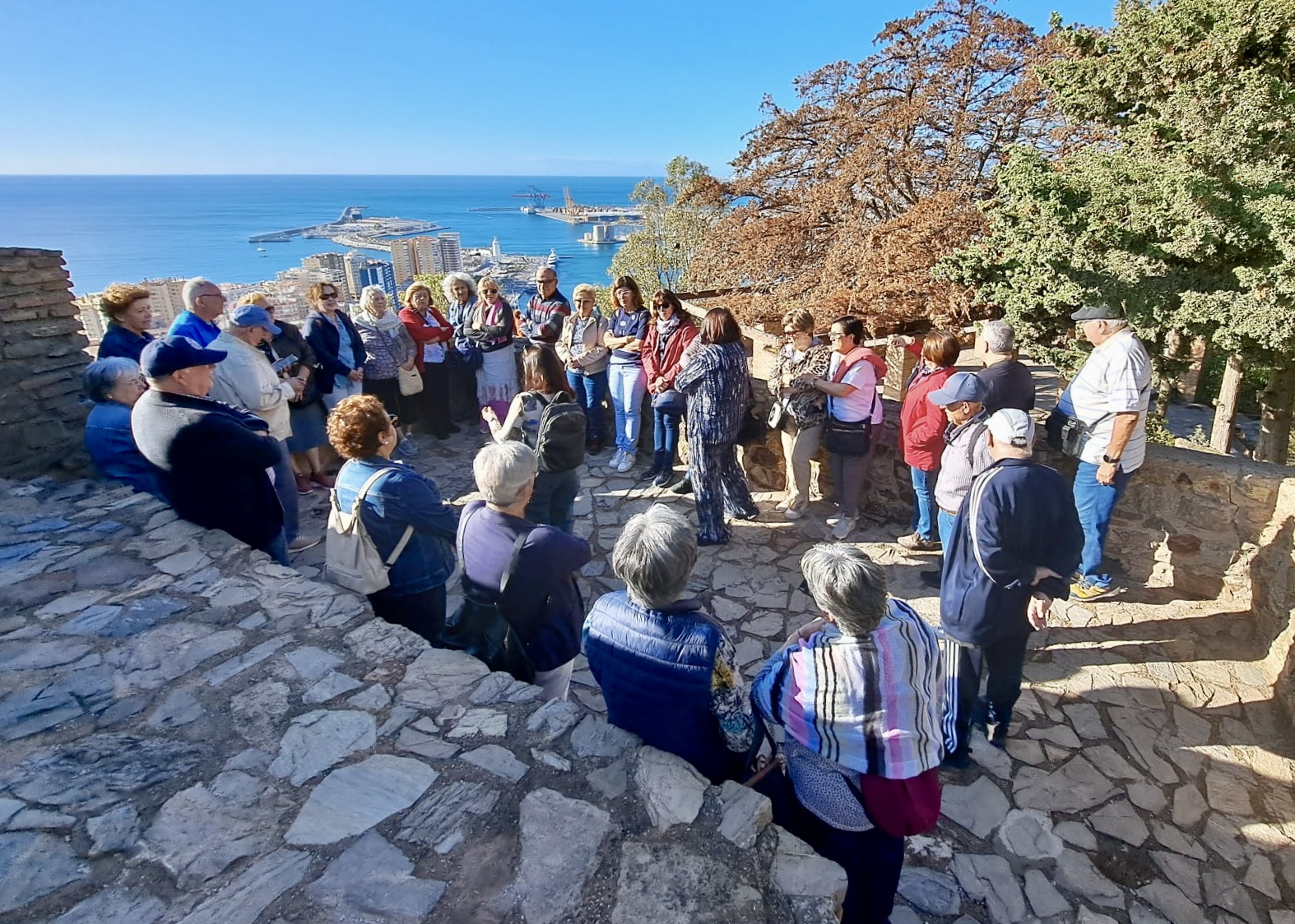 WhatsApp Image 2024-10-17 at 15.27.00