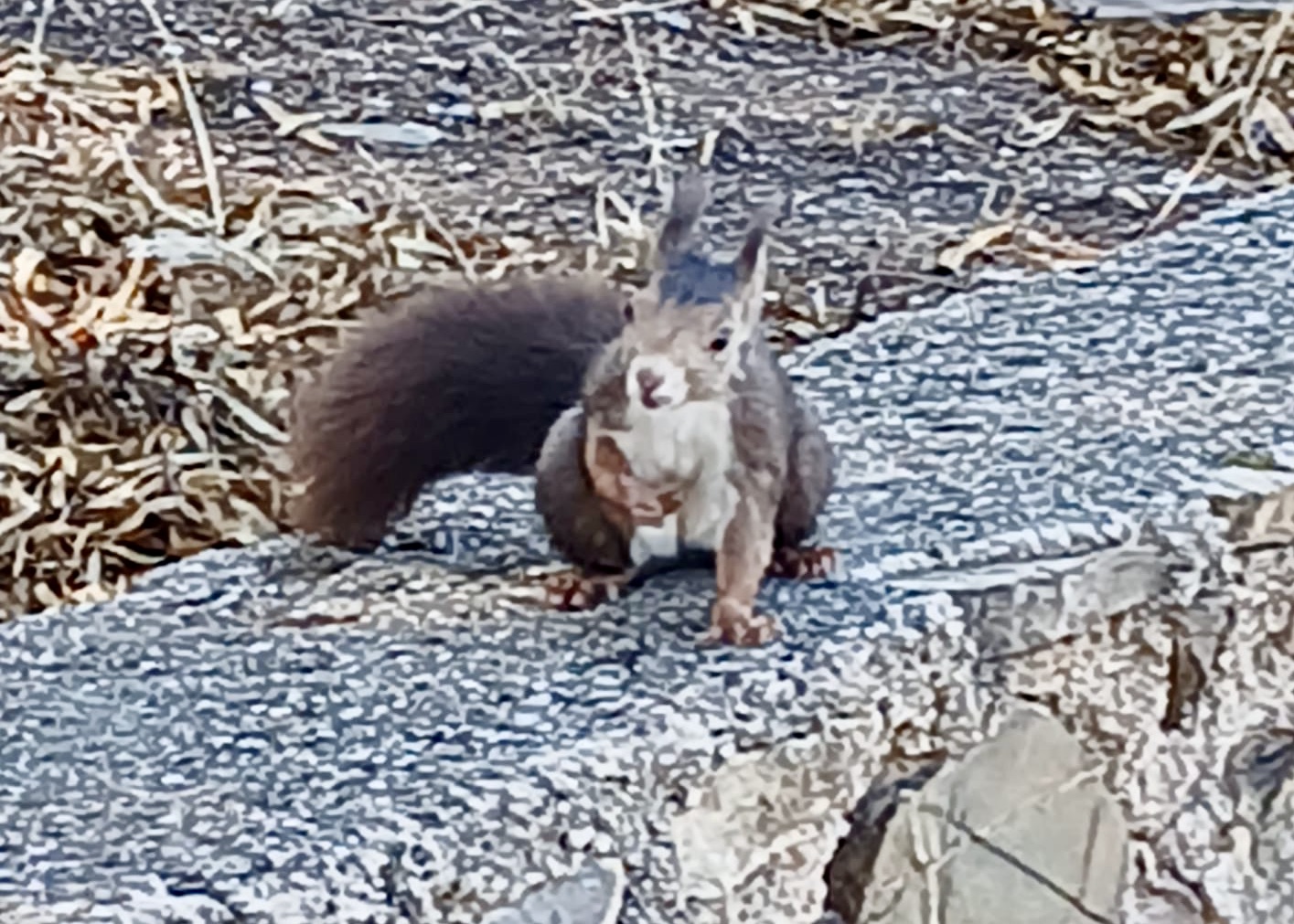 WhatsApp Image 2024-10-17 at 15.39.55 (2)