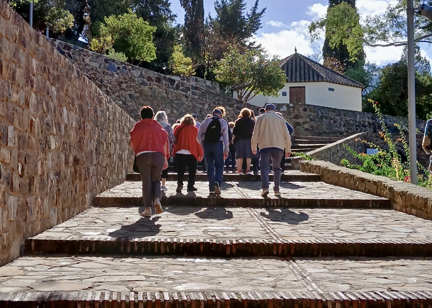 WhatsApp Image 2024-10-17 at 15.39.57