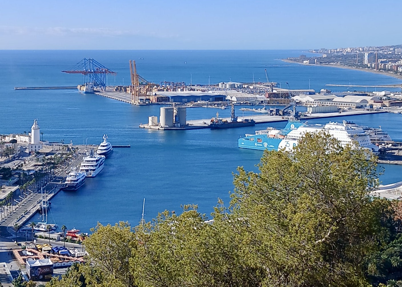 WhatsApp Image 2024-10-17 at 15.40.01 (2)