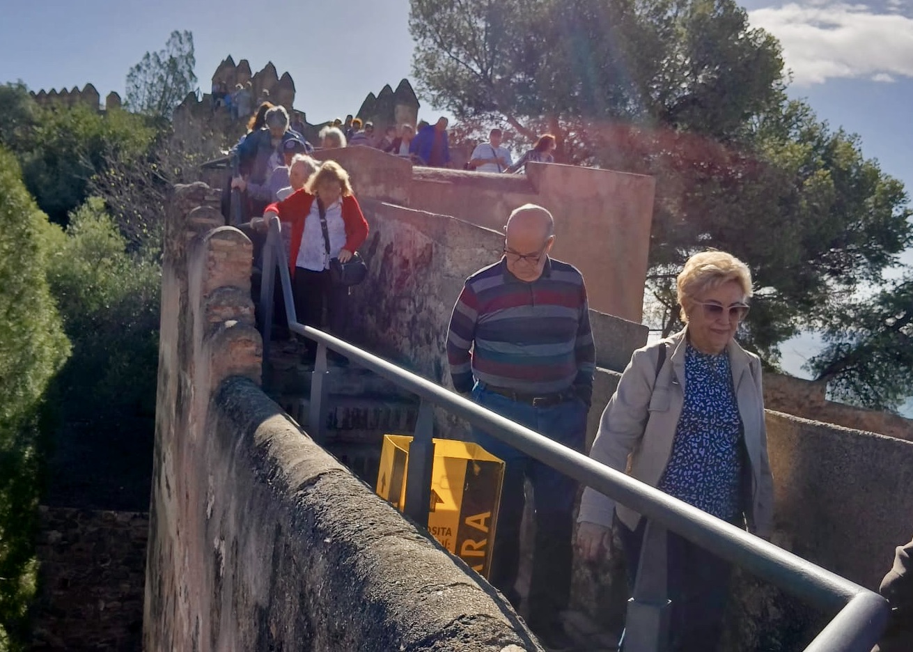 WhatsApp Image 2024-10-17 at 15.40.01