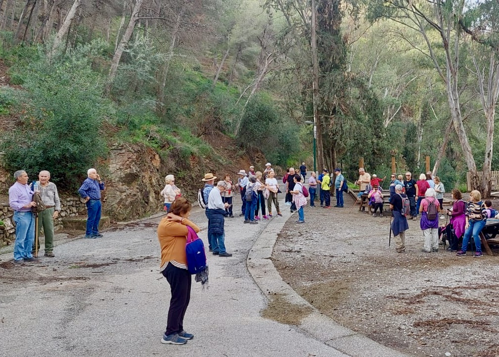 WhatsApp Image 2024-11-15 at 12.38.16