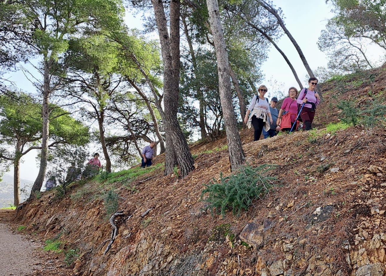 WhatsApp Image 2024-11-15 at 12.44.20