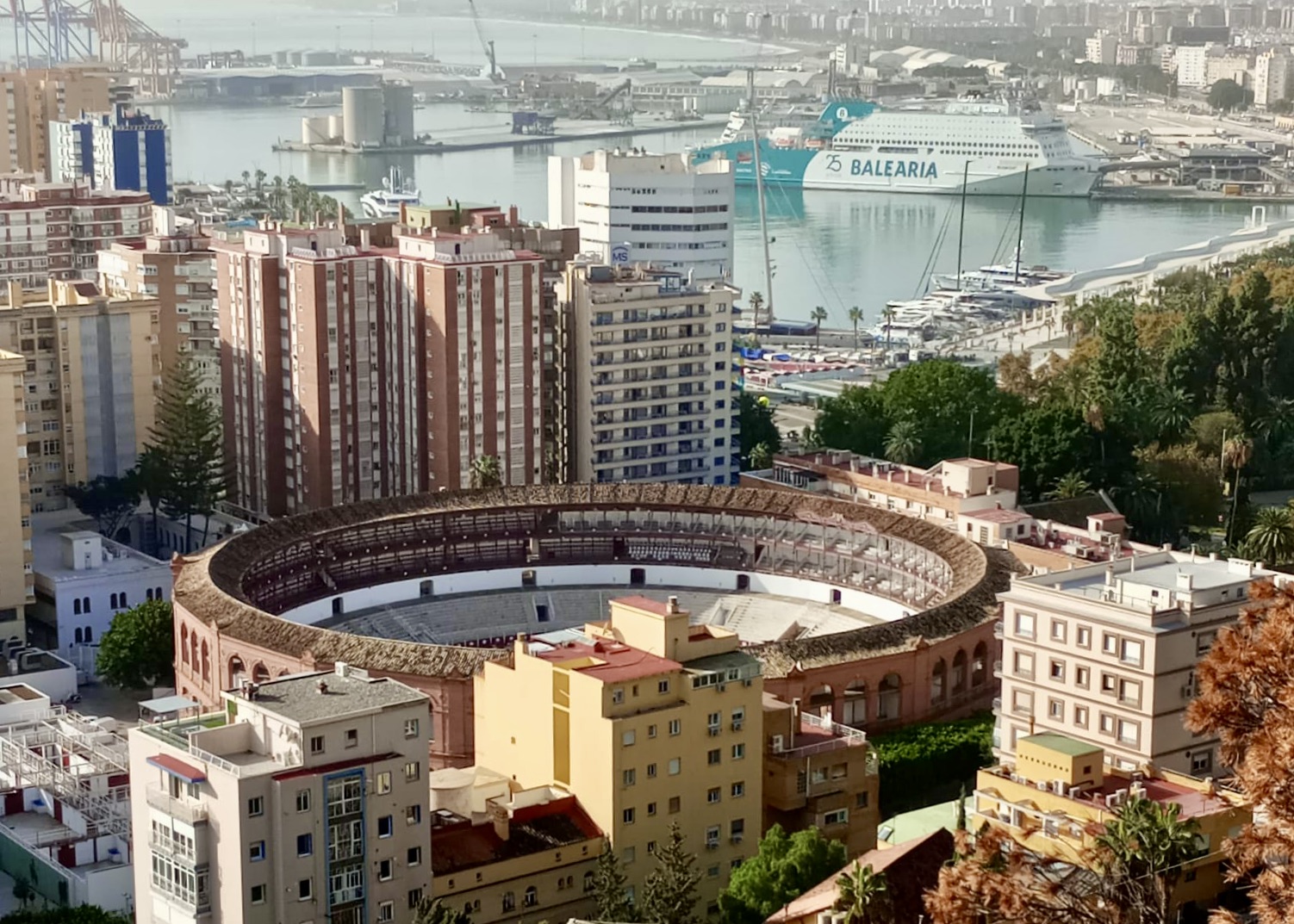 WhatsApp Image 2024-11-15 at 13.06.55