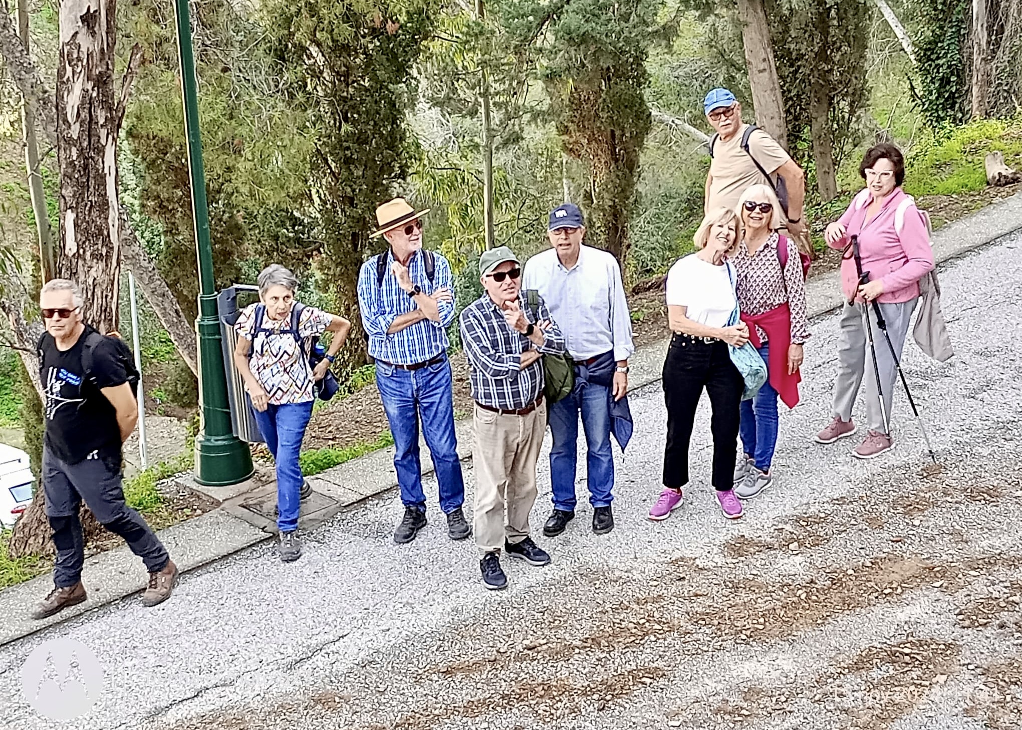 WhatsApp Image 2024-11-15 at 13.07.25