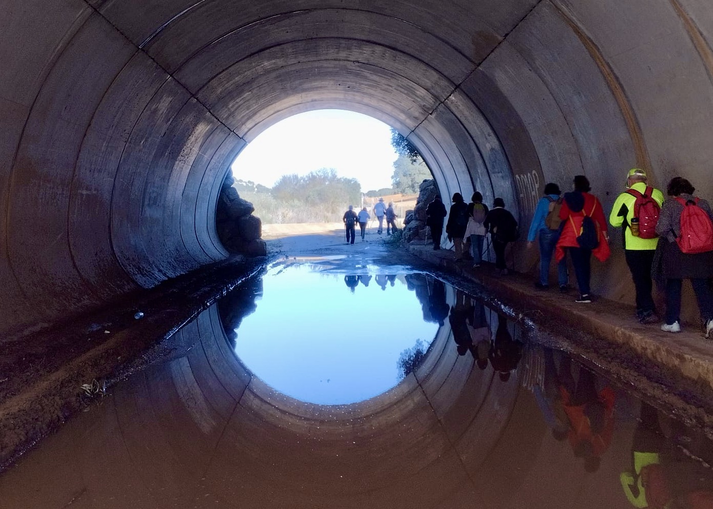 WhatsApp Image 2025-01-24 at 21.03.51 (1)