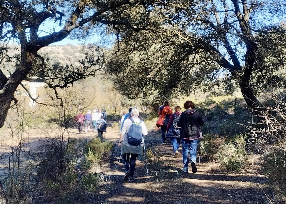 WhatsApp Image 2025-01-24 at 21.03.52