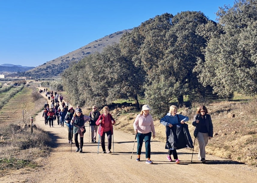 WhatsApp Image 2025-01-24 at 21.31.34