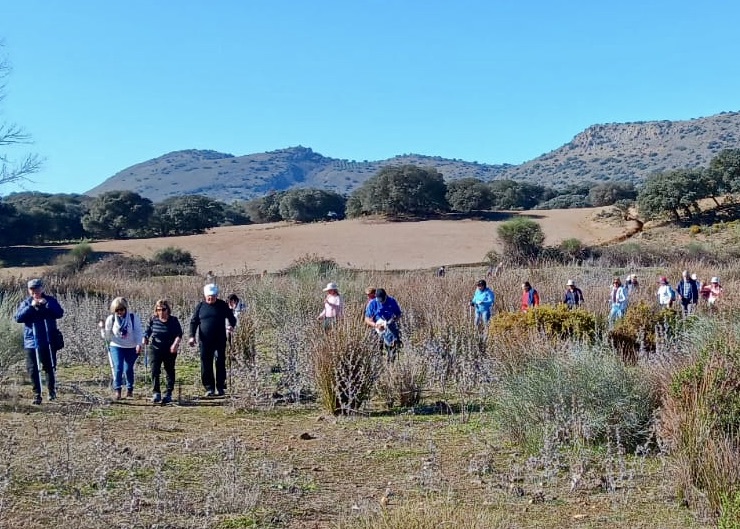 WhatsApp Image 2025-01-24 at 22.11.19