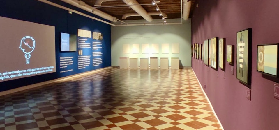 WhatsApp Image 2025-01-28 at 13.35.36 (2)