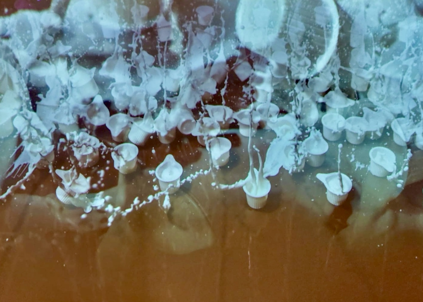 WhatsApp Image 2025-01-30 at 12.39.08