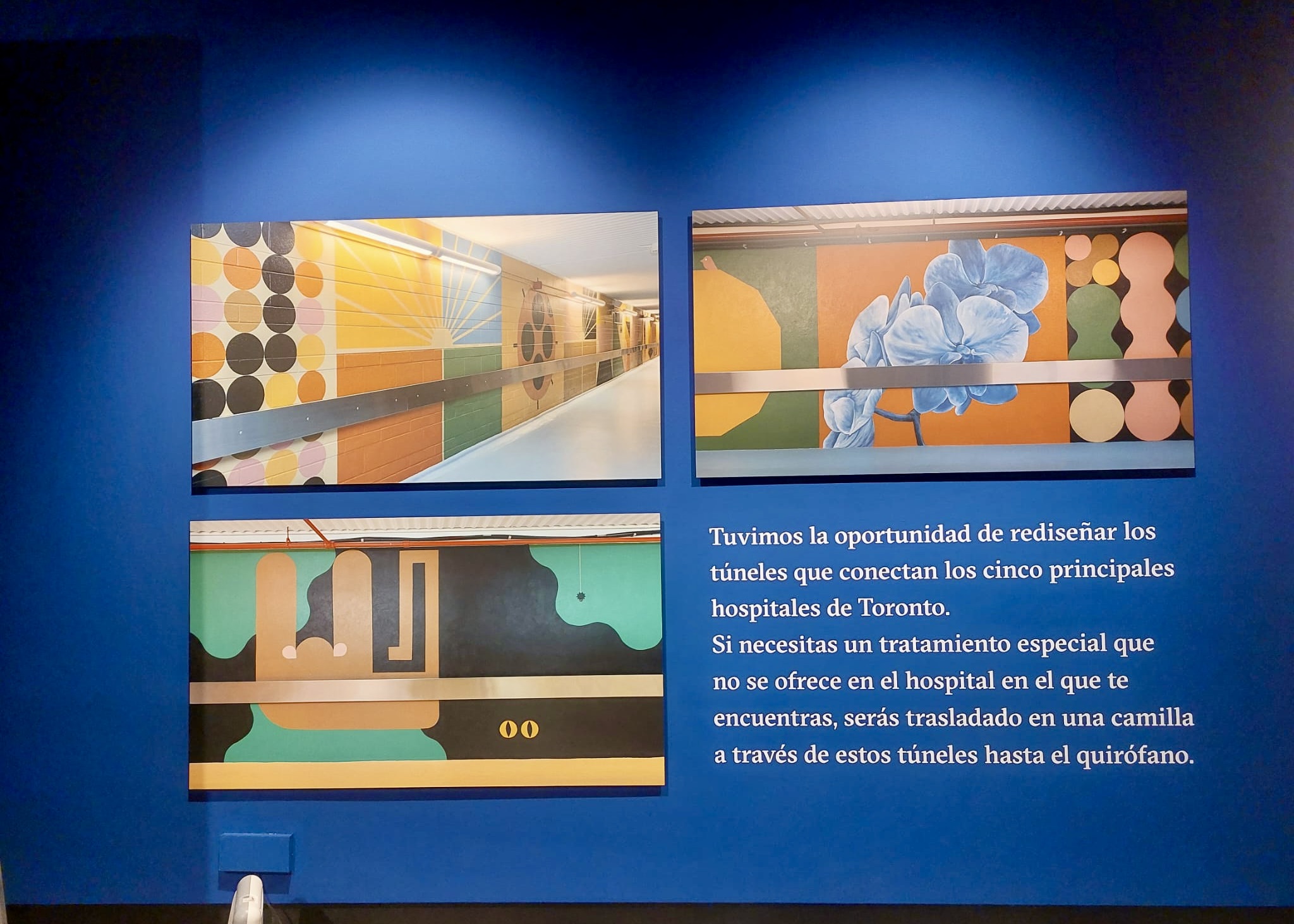 WhatsApp Image 2025-01-30 at 12.39.10