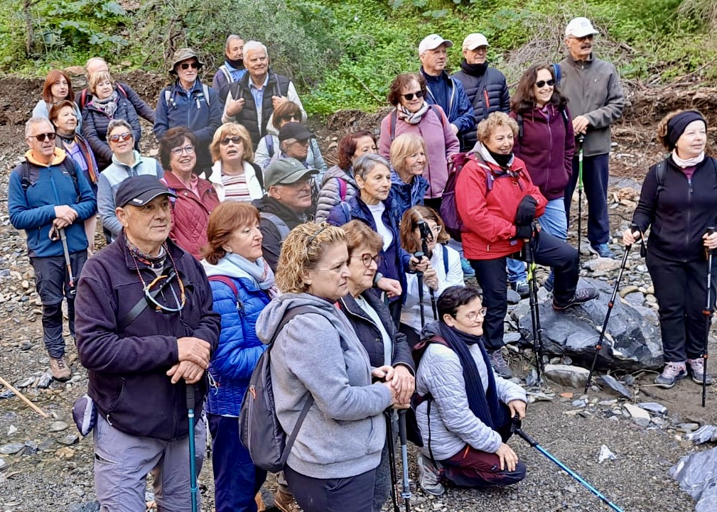 WhatsApp Image 2025-01-31 at 16.01.06