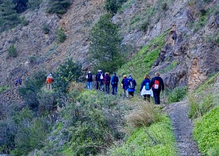 WhatsApp Image 2025-01-31 at 16.01.10 (1)