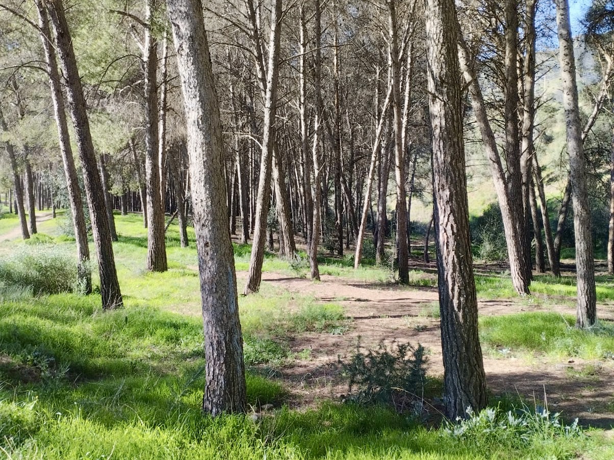 WhatsApp Image 2025-01-31 at 16.01.17