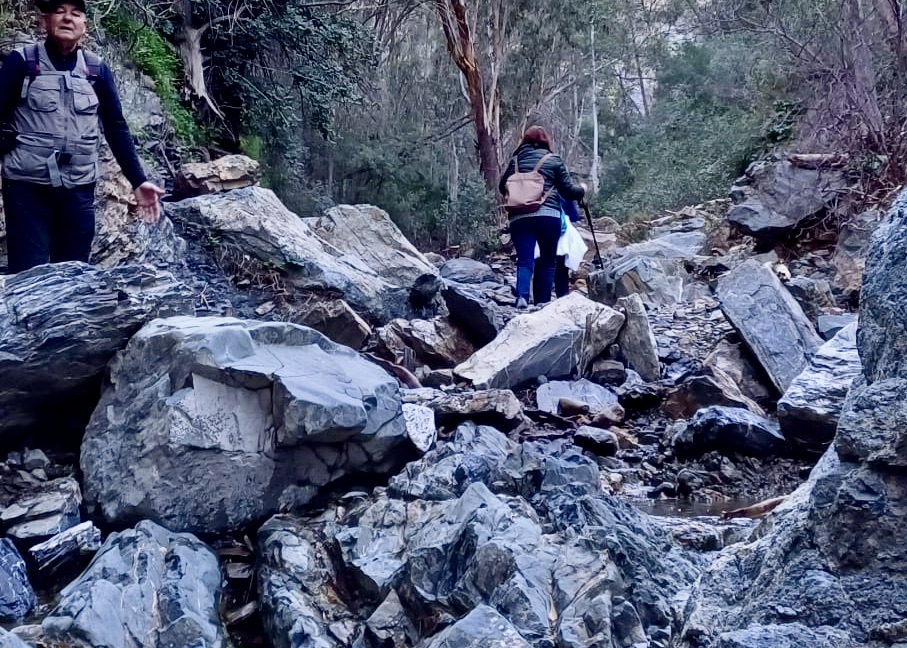 WhatsApp Image 2025-01-31 at 16.24.41 (2)