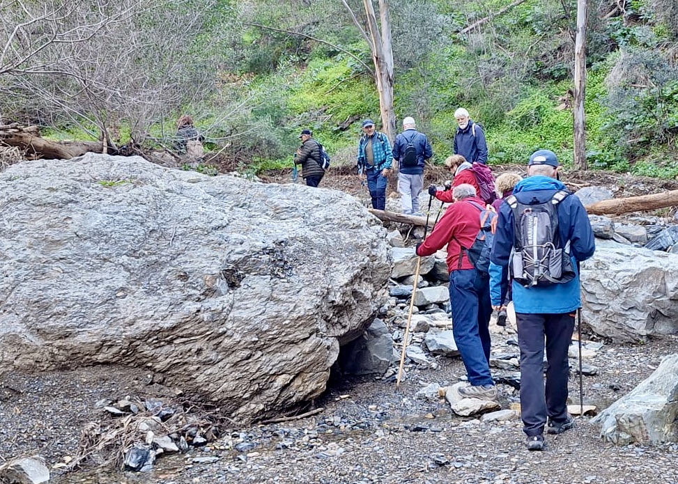 WhatsApp Image 2025-01-31 at 16.50.07 (2)