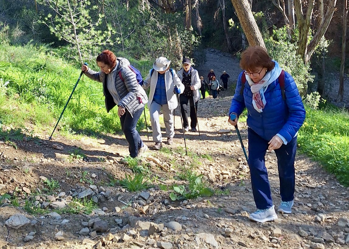 WhatsApp Image 2025-01-31 at 16.50.09 (3)