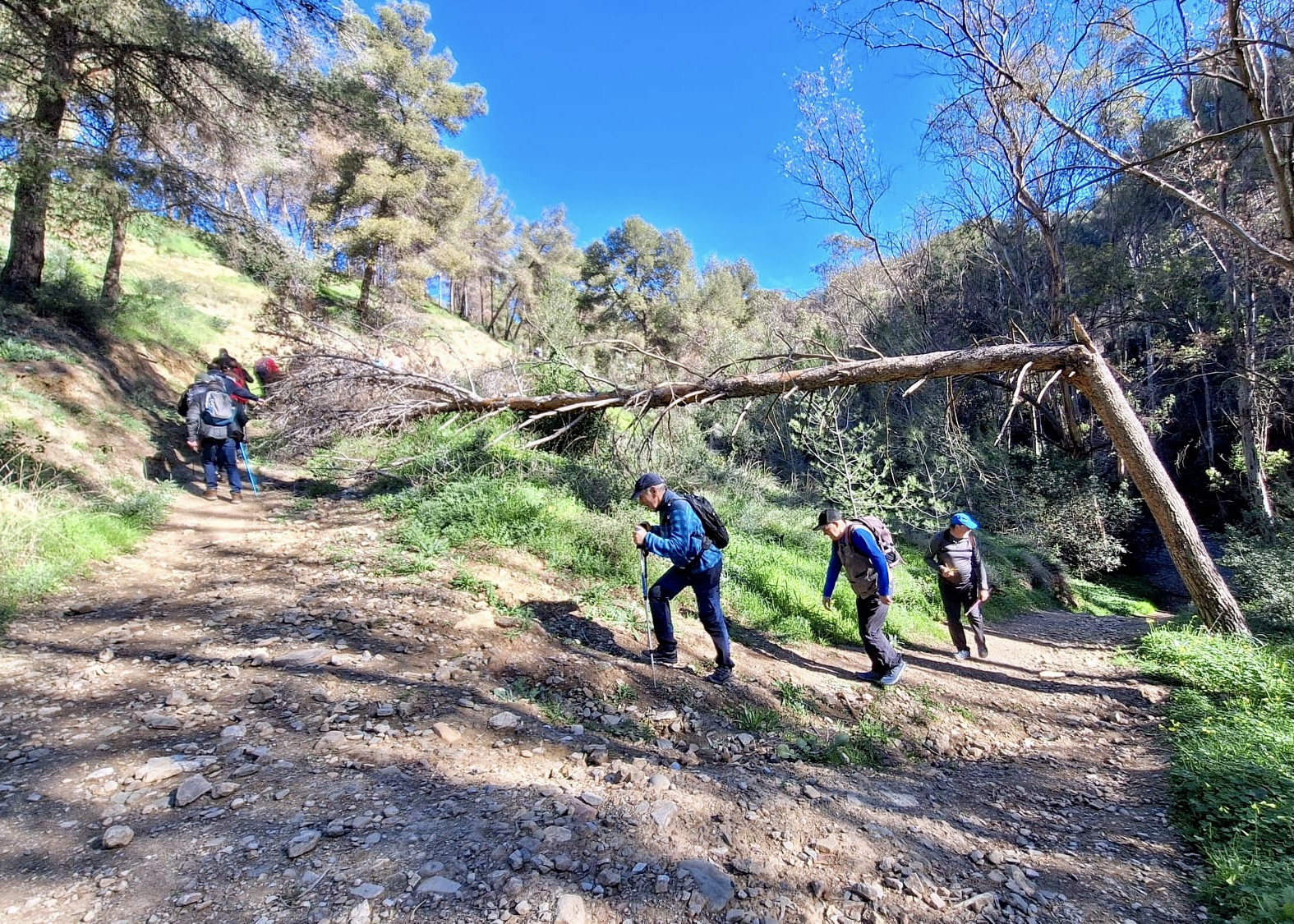 WhatsApp Image 2025-01-31 at 16.50.12 (1)