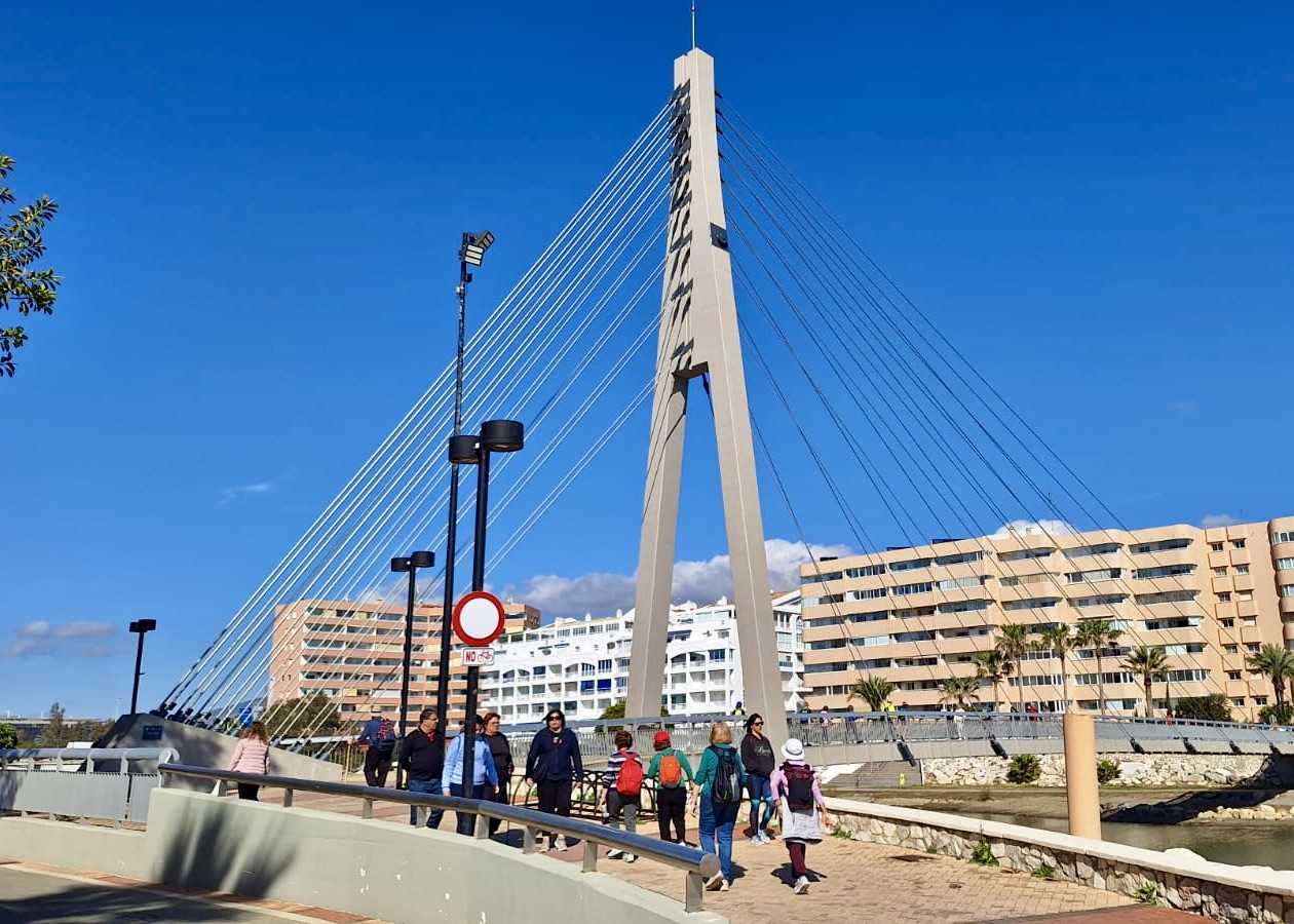 WhatsApp Image 2025-02-07 at 19.31.31