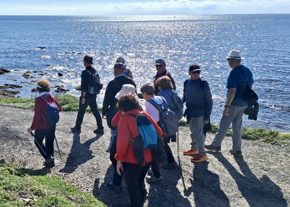 WhatsApp Image 2025-02-07 at 19.33.14