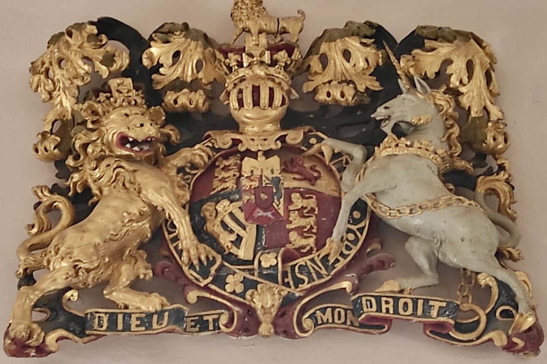 WhatsApp Image 2025-02-11 at 12.42.31