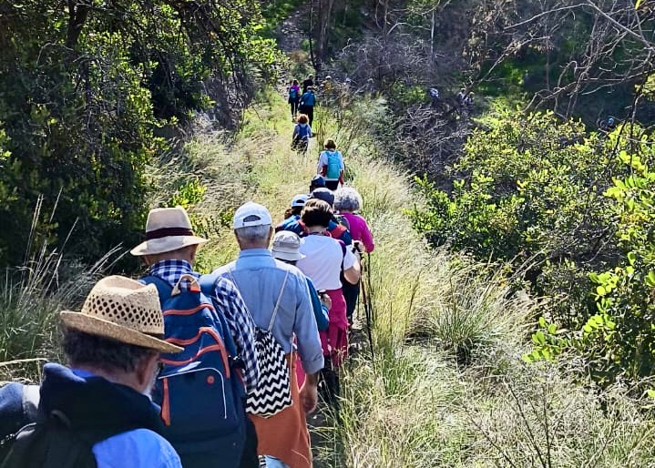 WhatsApp Image 2025-02-28 at 10.46.02