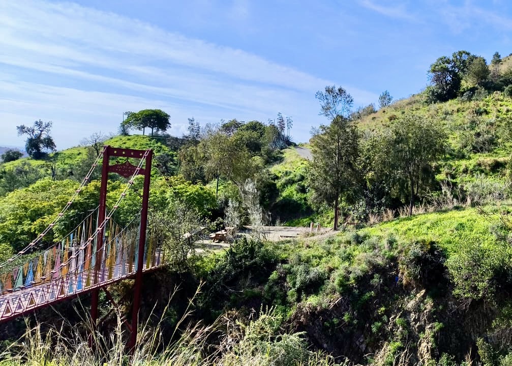 WhatsApp Image 2025-02-28 at 10.46.06