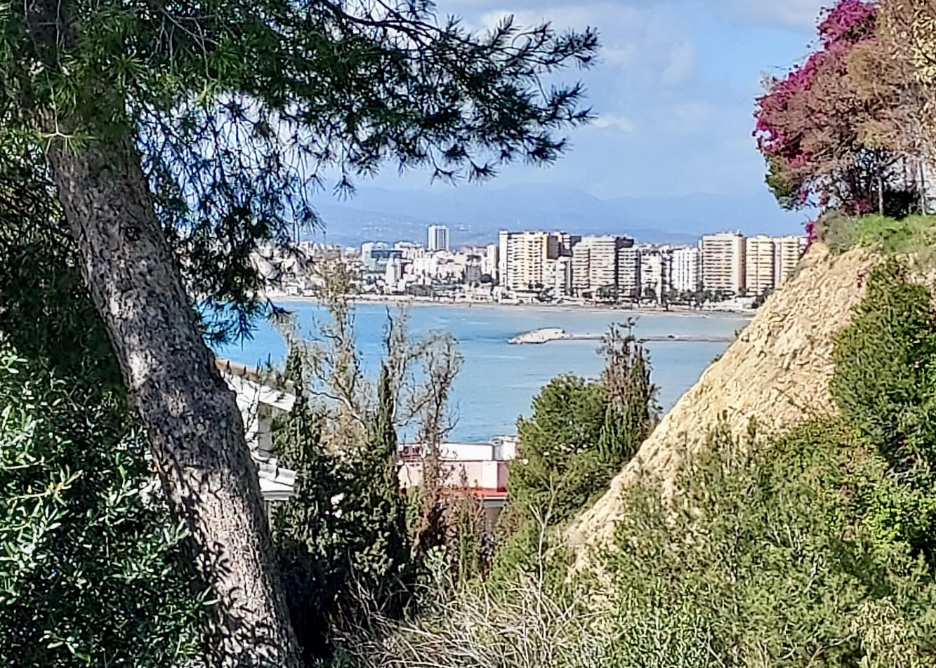 WhatsApp Image 2025-03-22 at 12.54.05 (2)