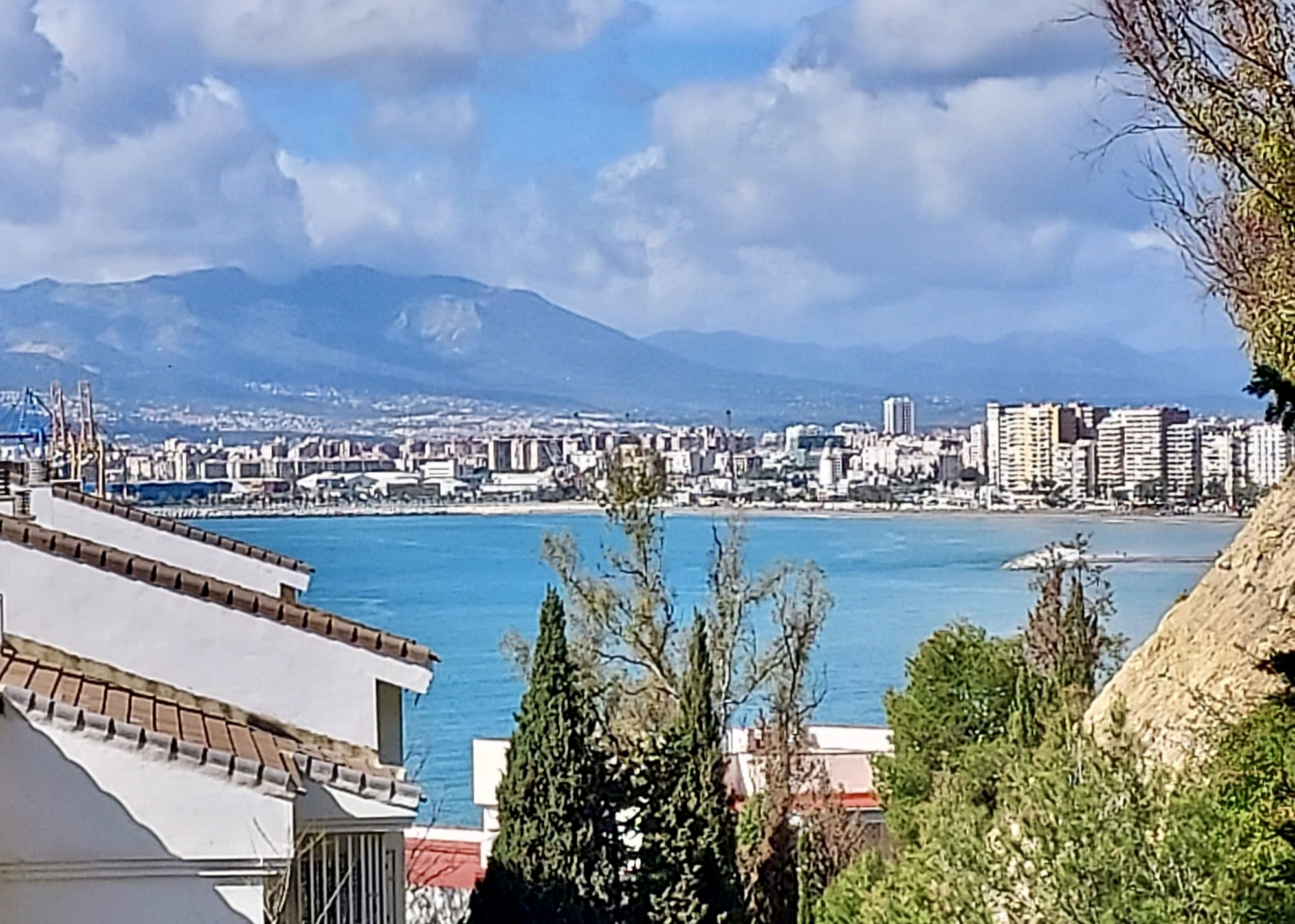 WhatsApp Image 2025-03-22 at 12.54.05 (4)