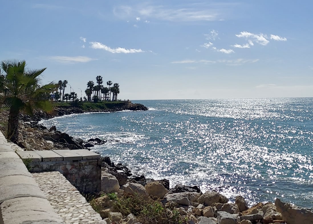 WhatsApp Image 2025-03-22 at 12.54.05