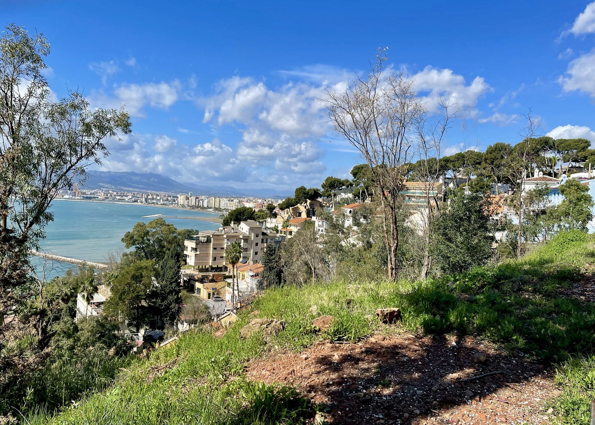 WhatsApp Image 2025-03-22 at 12.58.25 (3)