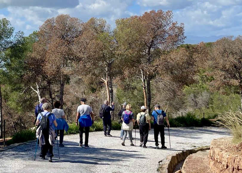 WhatsApp Image 2025-03-22 at 12.58.25 (4)