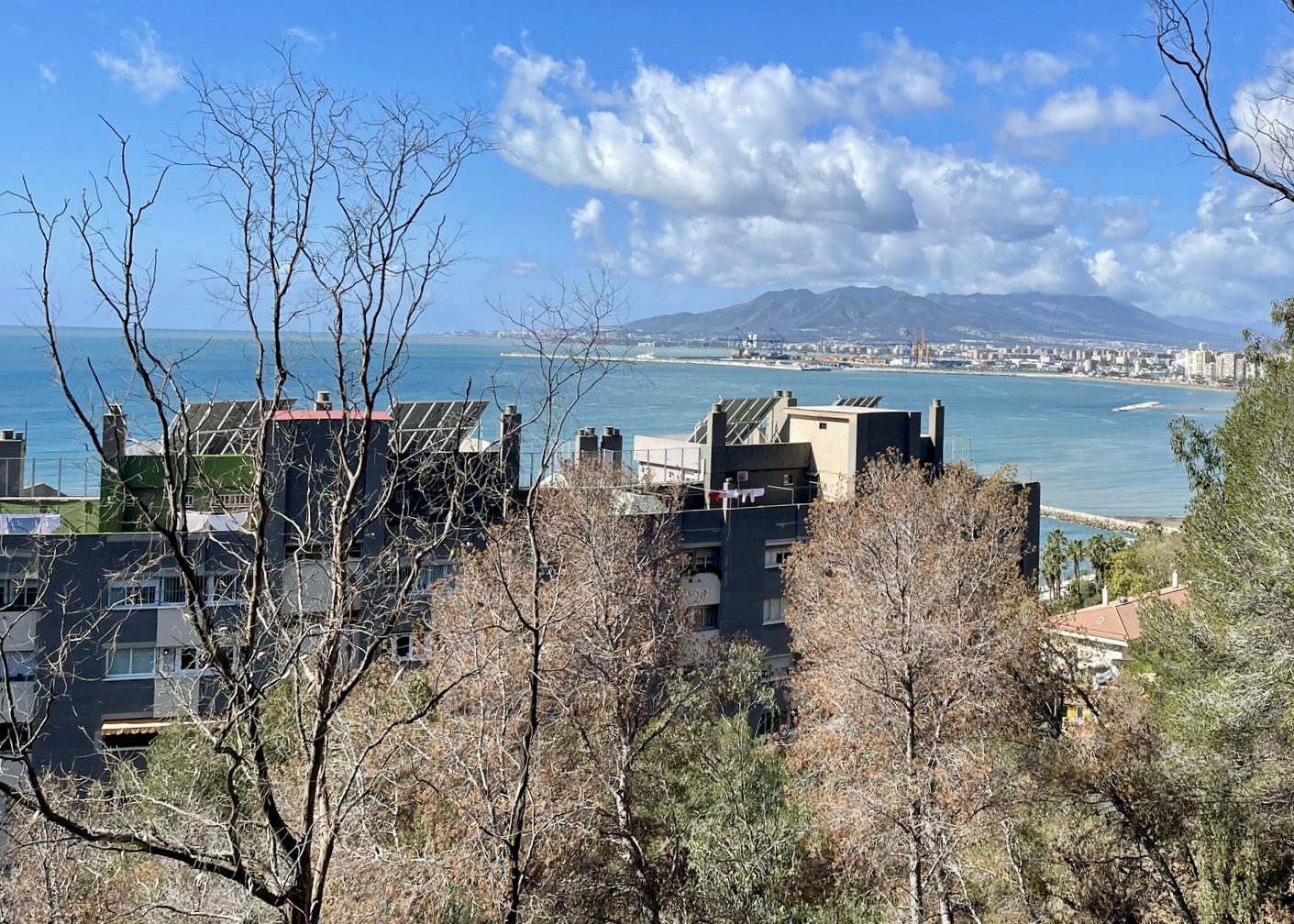 WhatsApp Image 2025-03-22 at 12.58.26 (3)