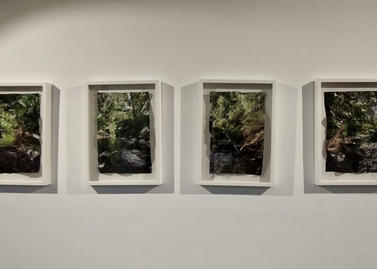 PHOTO-2025-11-13-14-08-20 (1)