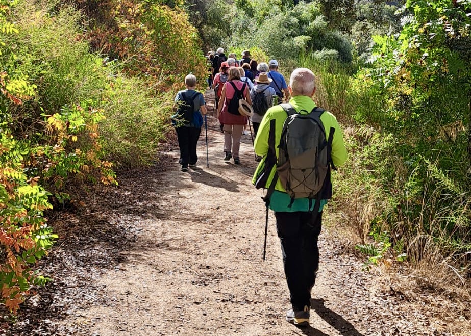 WhatsApp Image 2025-10-31 at 15.54.54