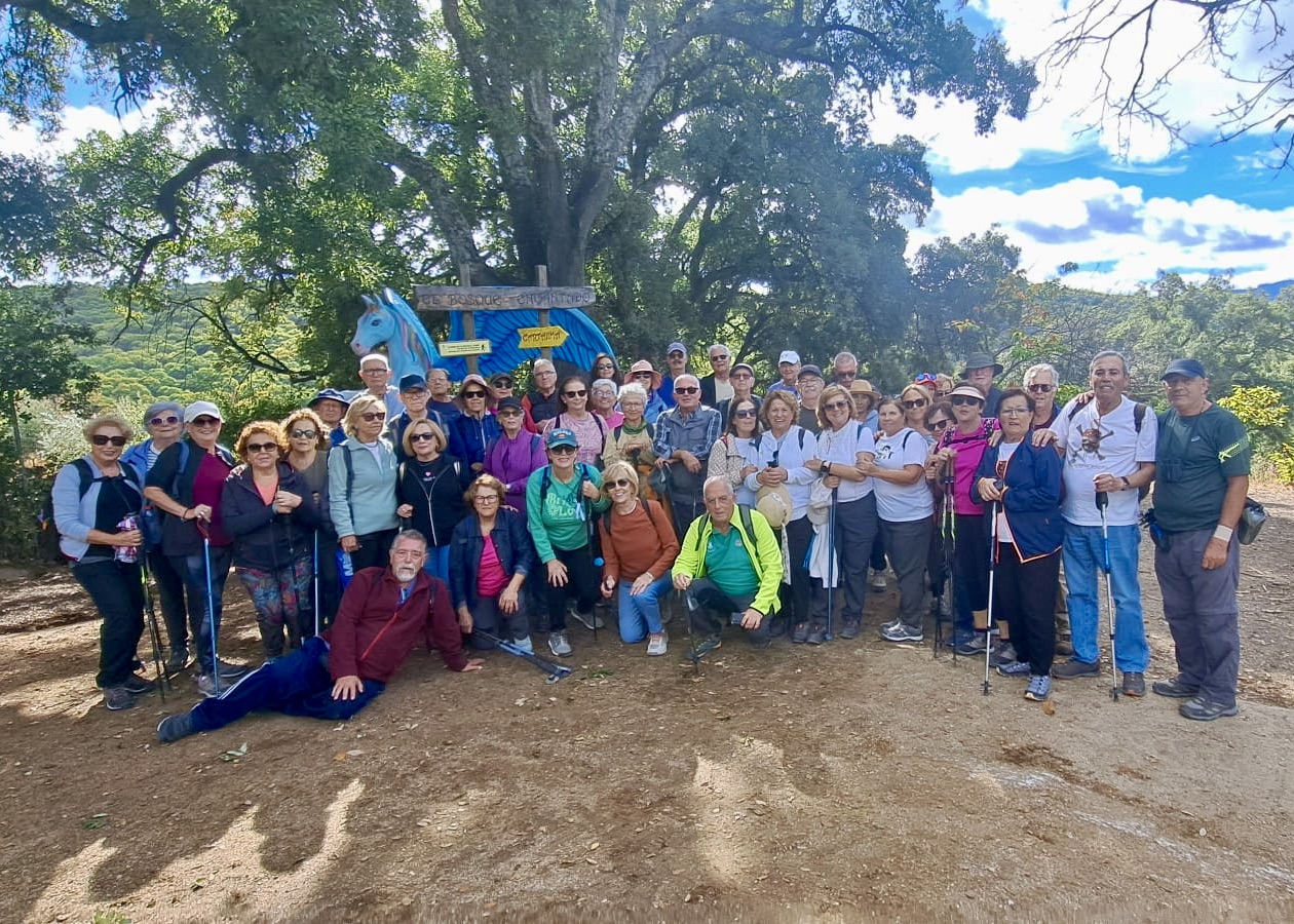 WhatsApp Image 2025-10-31 at 15.54.55 (2)