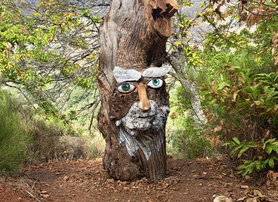 WhatsApp Image 2025-10-31 at 15.54.55