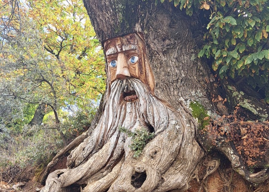 WhatsApp Image 2025-10-31 at 15.54.57