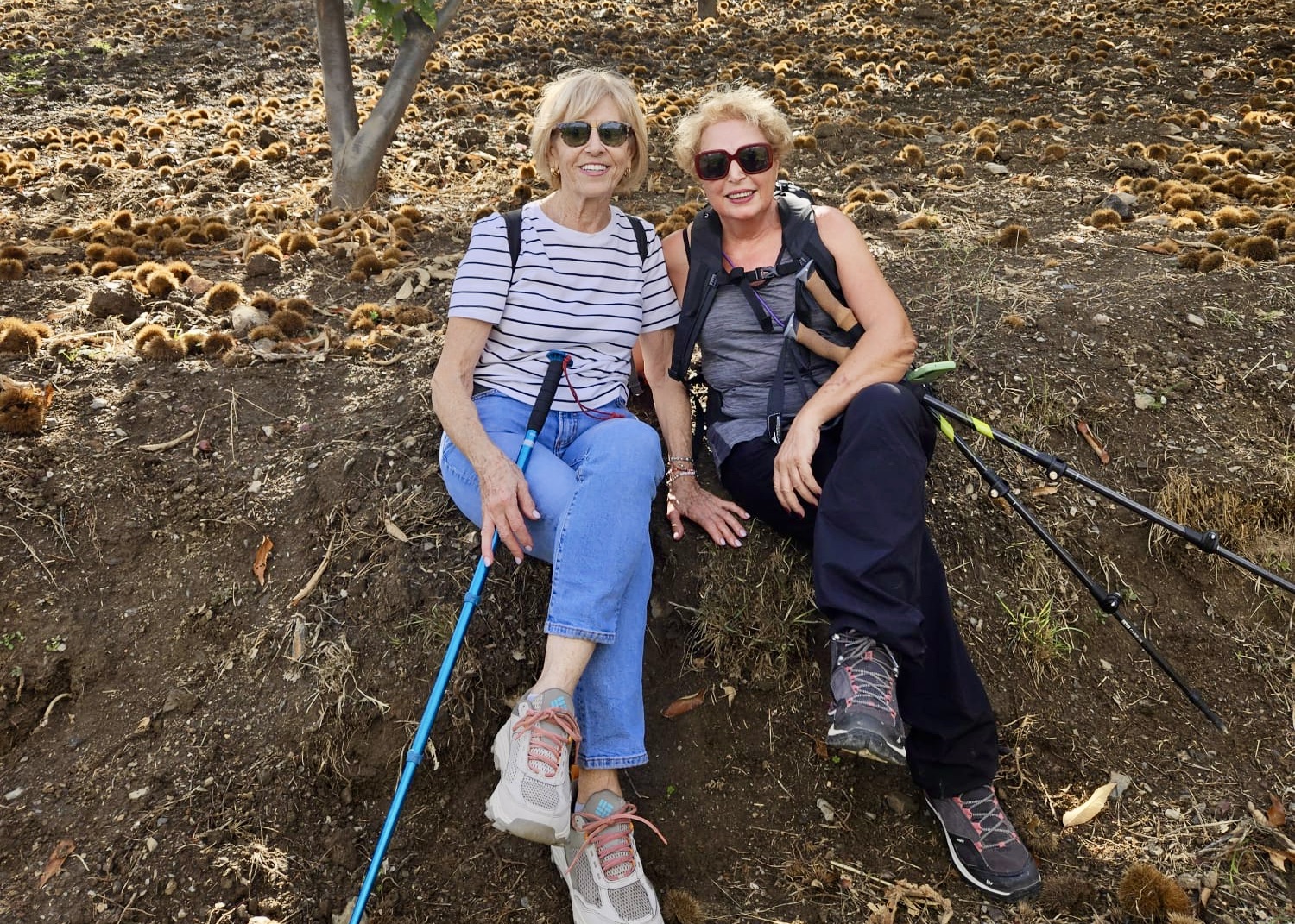 WhatsApp Image 2025-10-31 at 15.57.32