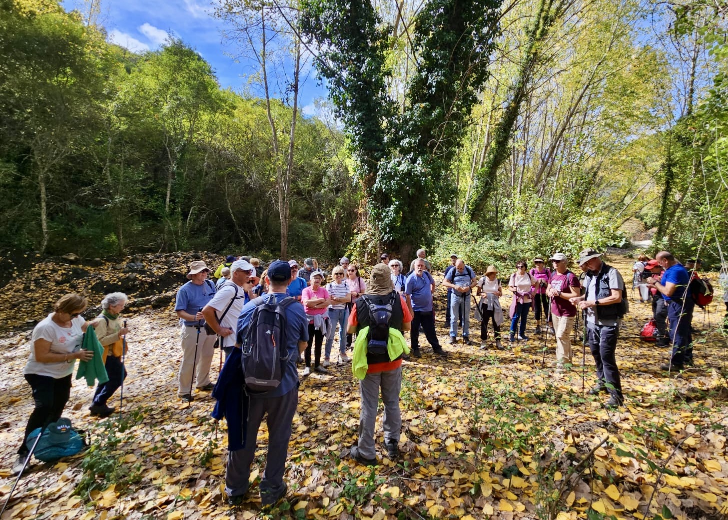 WhatsApp Image 2025-10-31 at 15.57.35