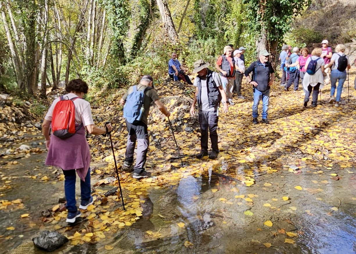 WhatsApp Image 2025-10-31 at 15.57.36