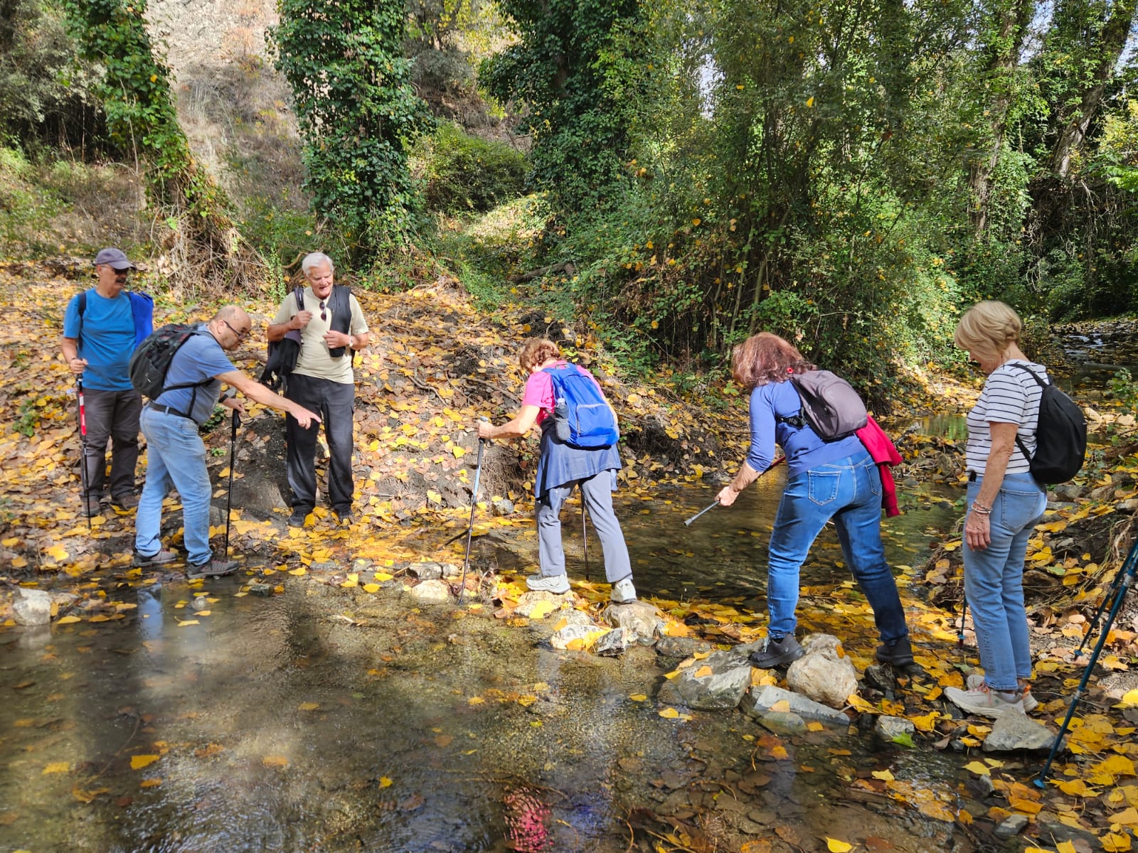 WhatsApp Image 2025-10-31 at 15.57.37 (1)