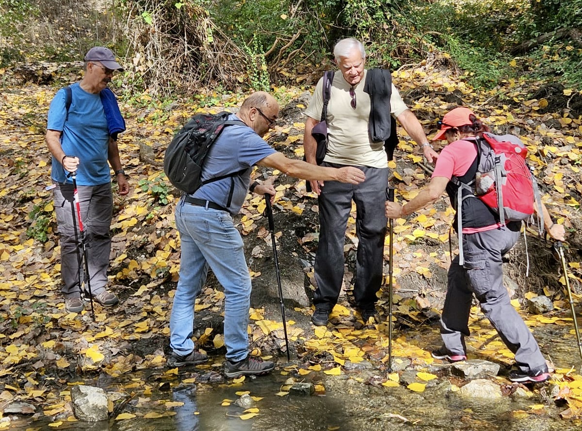 WhatsApp Image 2025-10-31 at 15.57.38